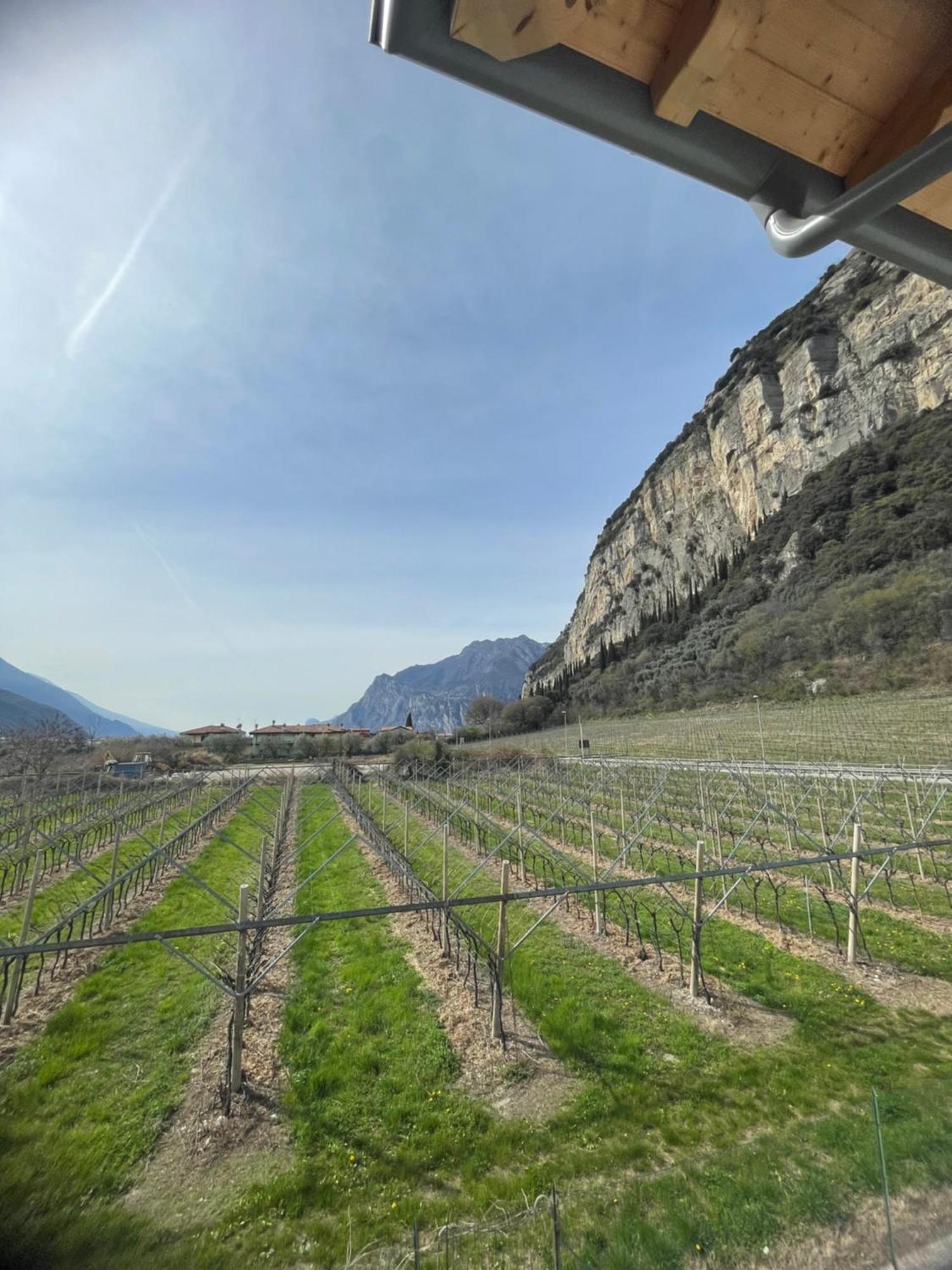 Lotus Garda Bed & Breakfast Riva del Garda Exterior photo